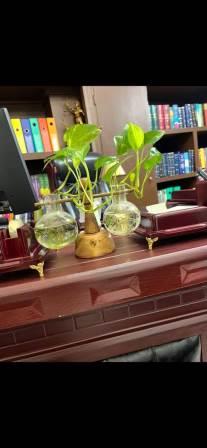 عکس ۲